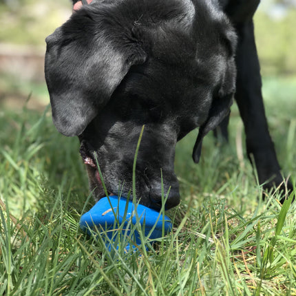 Flying Saucer eDispenser Durable Rubber Chew Toy & Treat Dispenser