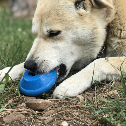 Flying Saucer eDispenser Durable Rubber Chew Toy & Treat Dispenser