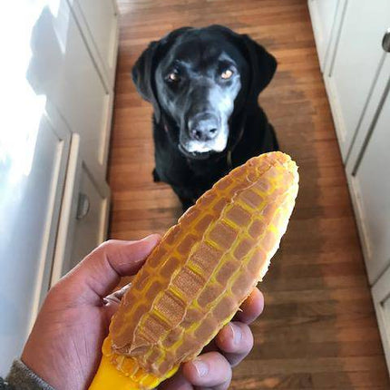 Corn on the Cob eChew Ultra Durable Nylon Dog Chew Toy