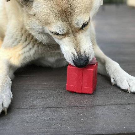 Gift Box eDispenser Durable Rubber Chew Toy & Treat Dispenser