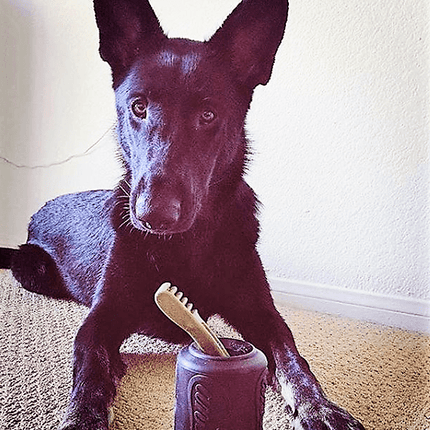 SP Magnum Can Toy eDispenser Ultra Durable Rubber Chew Toy & Treat Dispenser - Black
