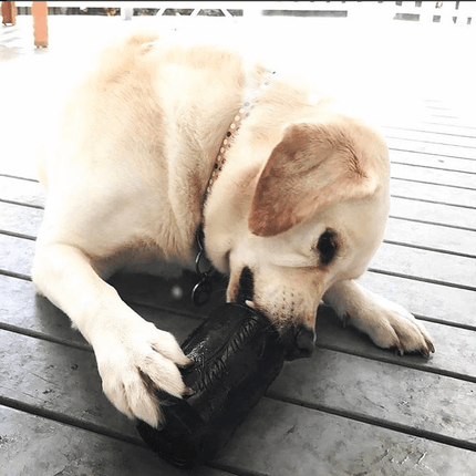 SP Magnum Can Toy eDispenser Ultra Durable Rubber Chew Toy & Treat Dispenser - Black