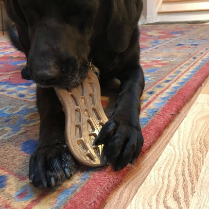 Peanut eChew Ultra Durable Nylon Dog Chew Toy