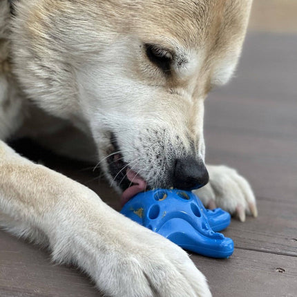 Starfish Ultra Durable Nylon Dog Chew Toy for Aggressive Chewers