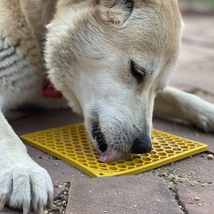 Honeycomb Design Emat Enrichment Lick Mat