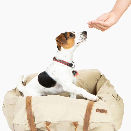 Car Bed for Dogs by DogGoods ™