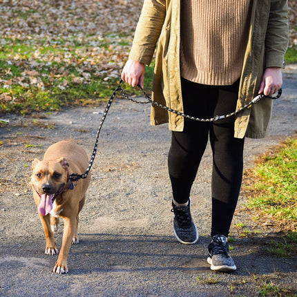 Forever Leash